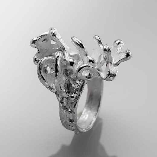 Anello-Fiordo